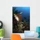 Schoolmaster Snapper Belize Wall Decal