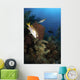 Schoolmaster Snapper Belize Wall Decal
