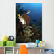 Schoolmaster Snapper Belize Wall Decal