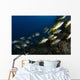 School Schoolmaster Snapper Belize Wall Decal