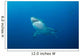 Male Great White Shark Wall Decal Design 10