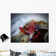 Commensal Shrimp Fiji Wall Decal