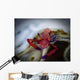 Commensal Shrimp Fiji Wall Decal