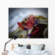 Commensal Shrimp Fiji Wall Decal