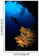 Diver and Soft Coral Wall Decal Design 1