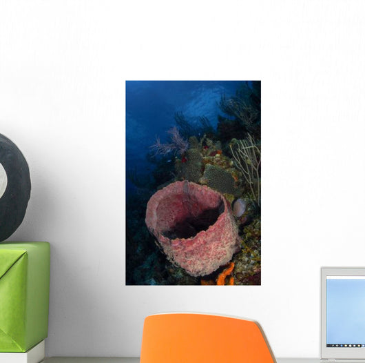 Barrel Sponge Seascape Belize Wall Decal