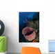 Barrel Sponge Seascape Belize Wall Decal
