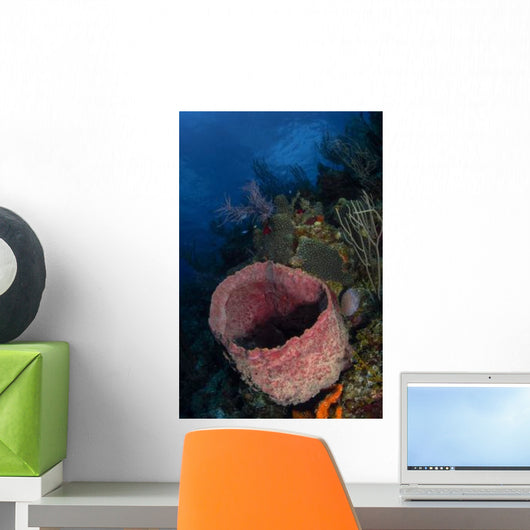 Barrel Sponge Seascape Belize Wall Decal
