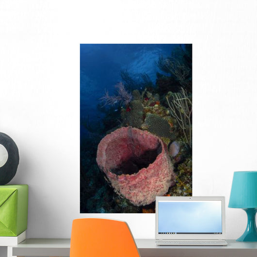 Barrel Sponge Seascape Belize Wall Decal