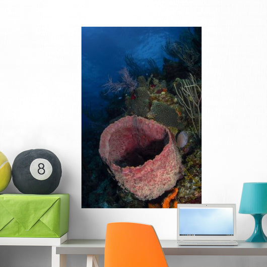 Barrel Sponge Seascape Belize Wall Decal