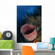 Barrel Sponge Seascape Belize Wall Decal