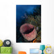 Barrel Sponge Seascape Belize Wall Decal