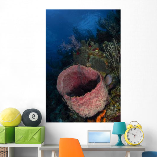 Barrel Sponge Seascape Belize Wall Decal