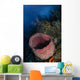 Barrel Sponge Seascape Belize Wall Decal