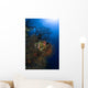 Sea Fan Seascape Belize Wall Decal Design 2
