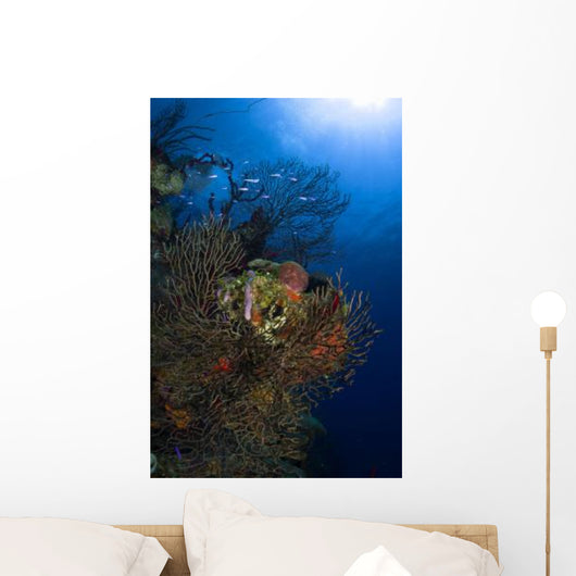 Sea Fan Seascape Belize Wall Decal Design 2