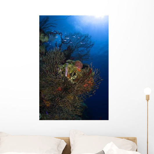 Sea Fan Seascape Belize Wall Decal Design 2