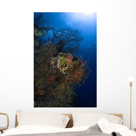 Sea Fan Seascape Belize Wall Decal Design 2