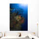 Sea Fan Seascape Belize Wall Decal Design 2
