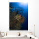 Sea Fan Seascape Belize Wall Decal Design 2