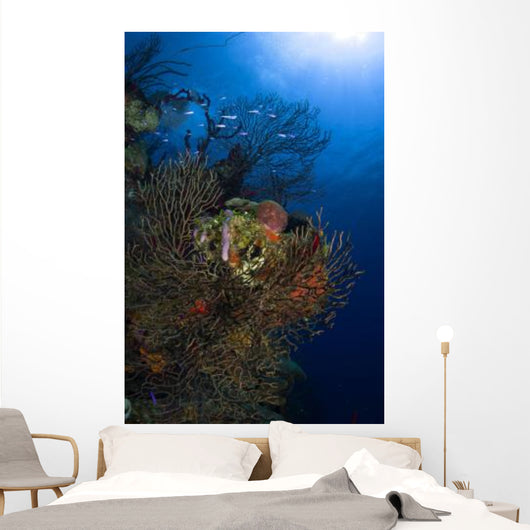 Sea Fan Seascape Belize Wall Decal Design 2