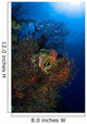 Sea Fan Seascape Belize Wall Decal Design 2
