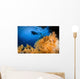 Diver Swims above Soft Wall Decal
