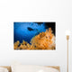 Diver Swims above Soft Wall Decal