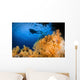 Diver Swims above Soft Wall Decal
