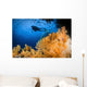 Diver Swims above Soft Wall Decal