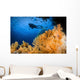 Diver Swims above Soft Wall Decal