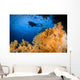 Diver Swims above Soft Wall Decal