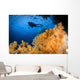 Diver Swims above Soft Wall Decal