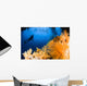 Diver Hovering over Soft Wall Decal