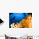 Diver Hovering over Soft Wall Decal