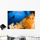 Diver Hovering over Soft Wall Decal