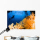 Diver Hovering over Soft Wall Decal