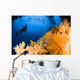 Diver Hovering over Soft Wall Decal