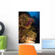 Diver Swims Soft Corals Wall Decal
