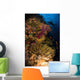 Diver Swims Soft Corals Wall Decal