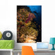 Diver Swims Soft Corals Wall Decal