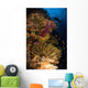 Diver Swims Soft Corals Wall Decal