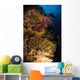 Diver Swims Soft Corals Wall Decal