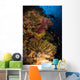 Diver Swims Soft Corals Wall Decal