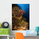 Crinoid and Soft Coral Wall Decal