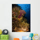 Crinoid and Soft Coral Wall Decal