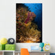 Crinoid and Soft Coral Wall Decal