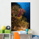 Crinoid and Soft Coral Wall Decal