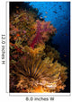 Crinoid and Soft Coral Wall Decal