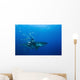 Male Great White Shark Wall Decal Design 9